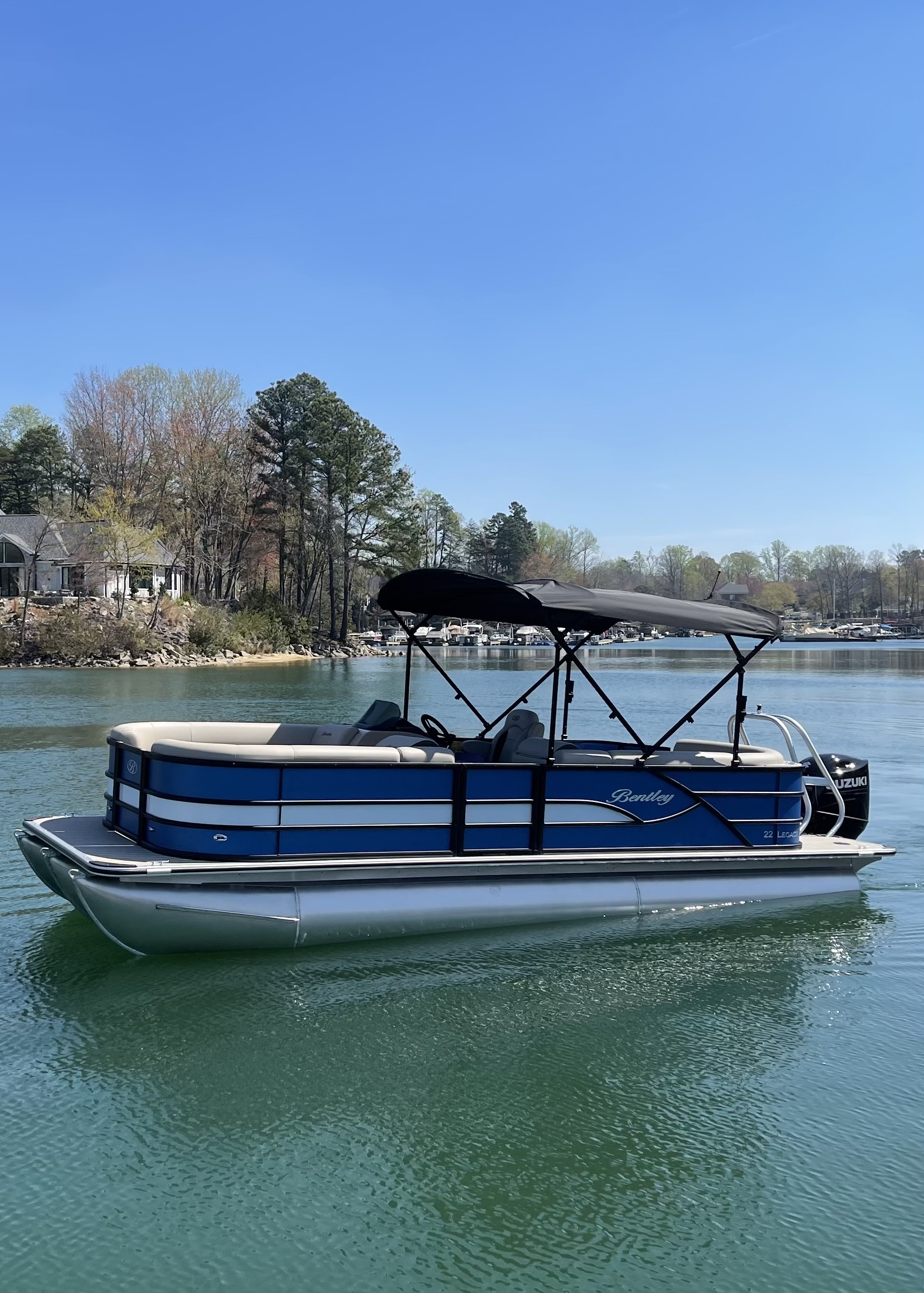 Bentley (Blue Lounger)