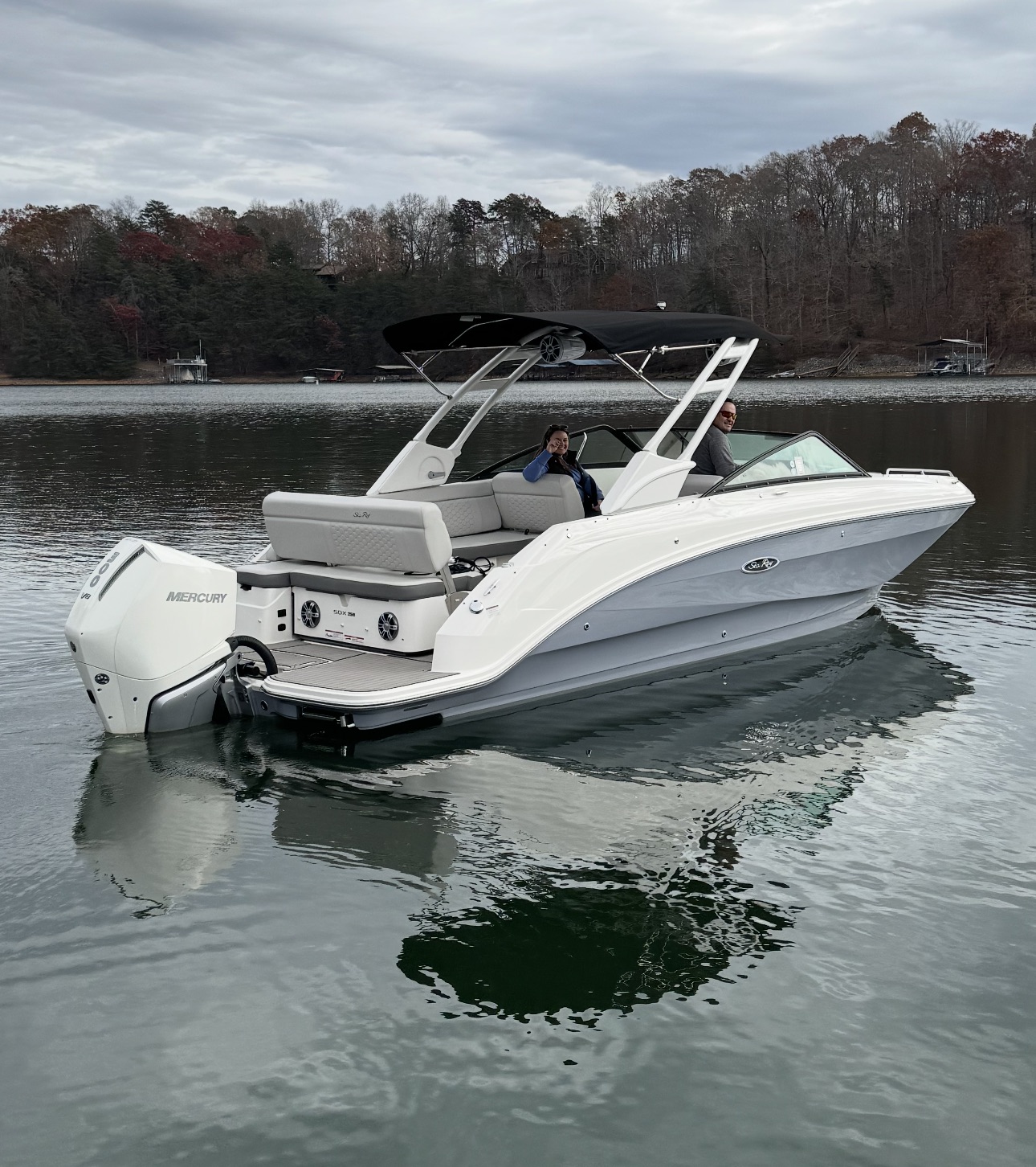 Sea Ray SDX 250